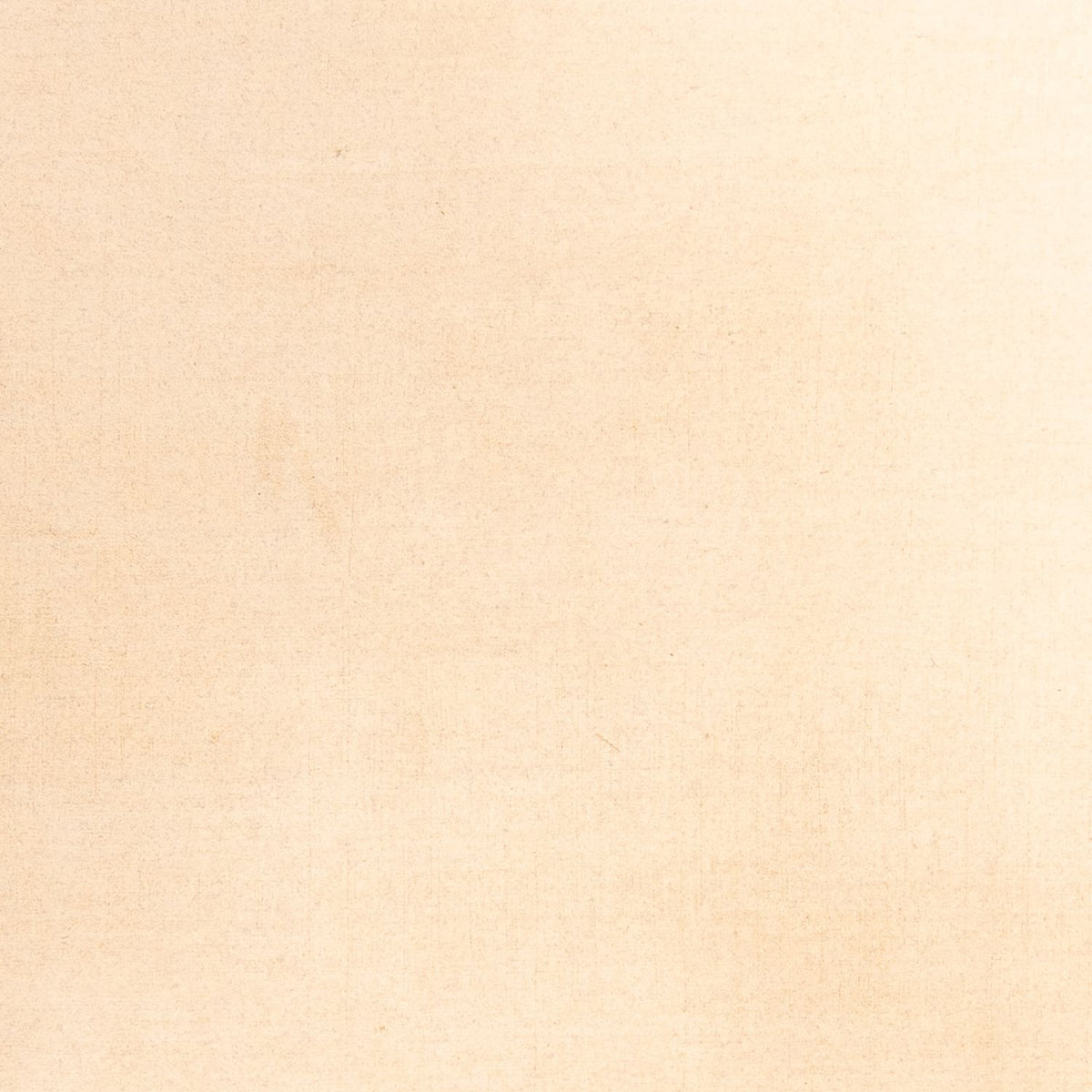 Tappeto Gabbeh - Softy - 288 x 205 cm - beige