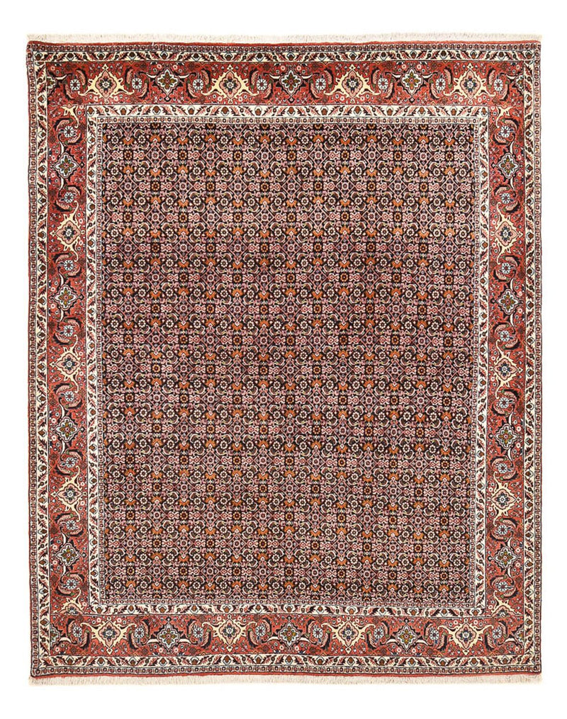 Tappeto Persero - Bidjar - 264 x 204 cm - ruggine