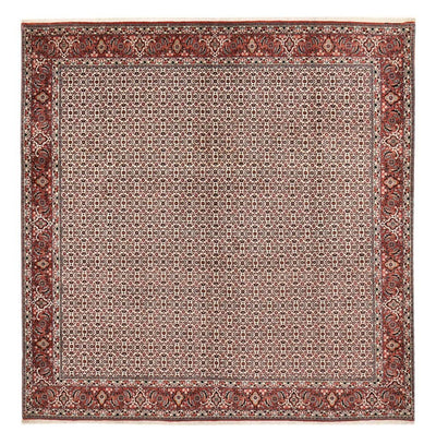 Bidjar Tappeto 304x306cm - Tappeto persiano