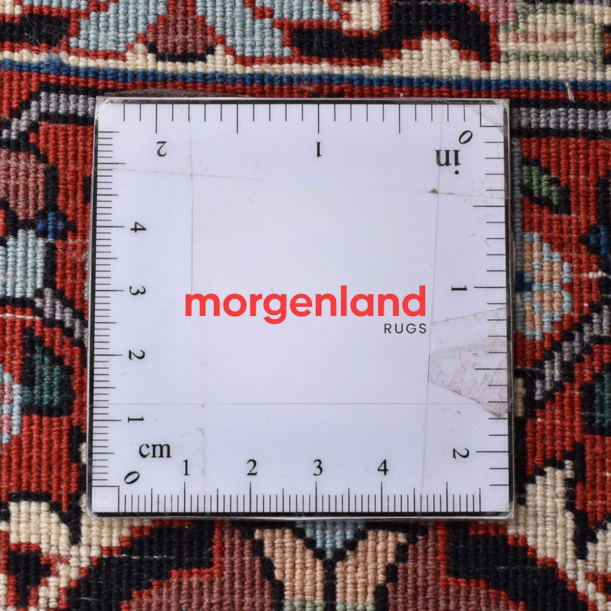 Tappeto Persero - Bidjar quadrato - 306 x 304 cm - ruggine