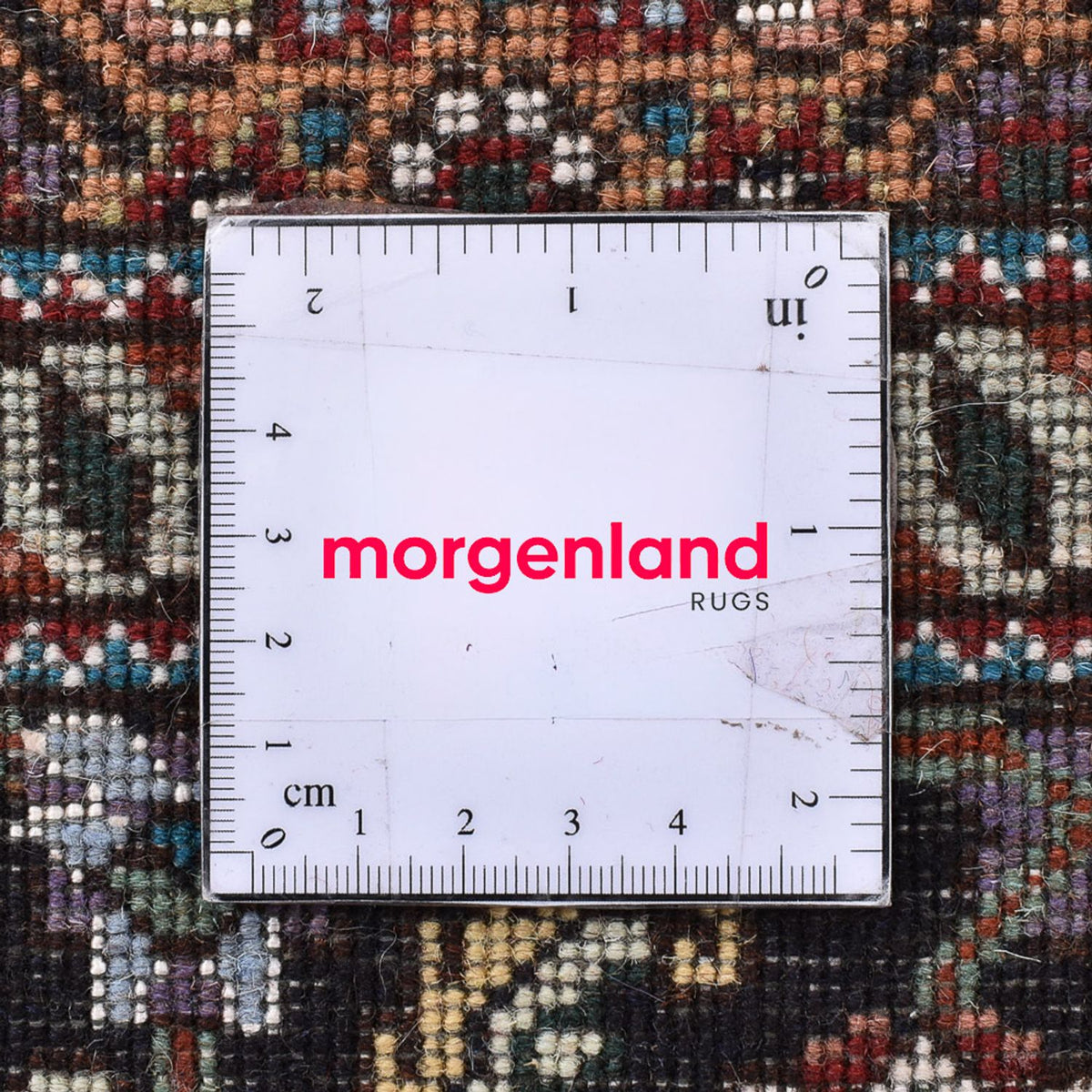 Tappeto Persero - Tabriz - Reale quadrato - 202 x 200 cm - sabbia