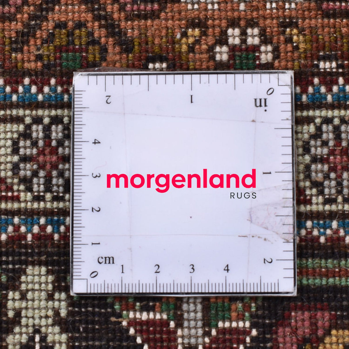 Tappeto Persero - Tabriz - Reale quadrato - 208 x 200 cm - sabbia