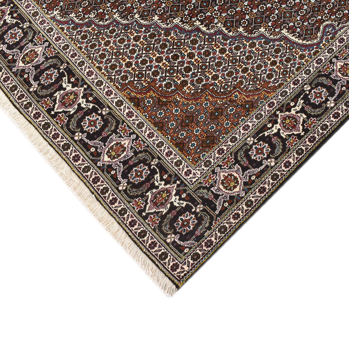 Tappeto Persero - Tabriz - Reale quadrato  - 200 x 200 cm - marrone