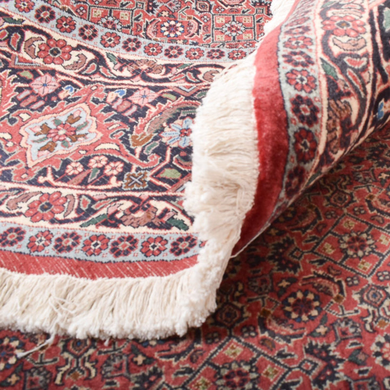 Tappeto Persero - Bidjar rotondo  - 255 x 255 cm - rosso chiaro