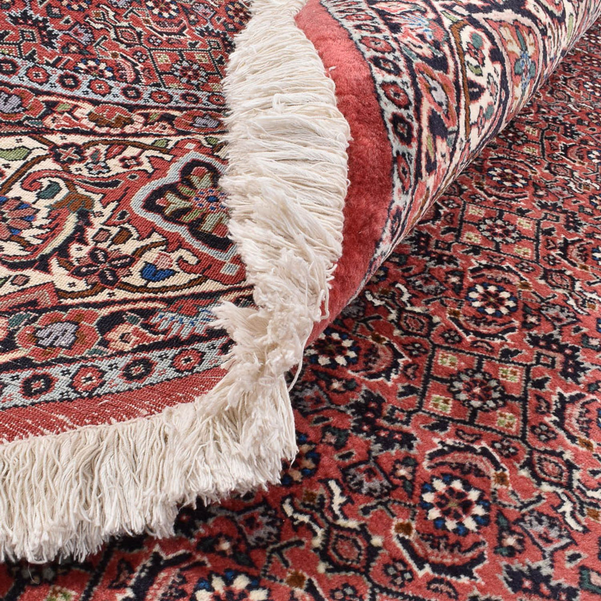 Tappeto Persero - Bidjar rotondo  - 300 x 300 cm - rosso bordeaux