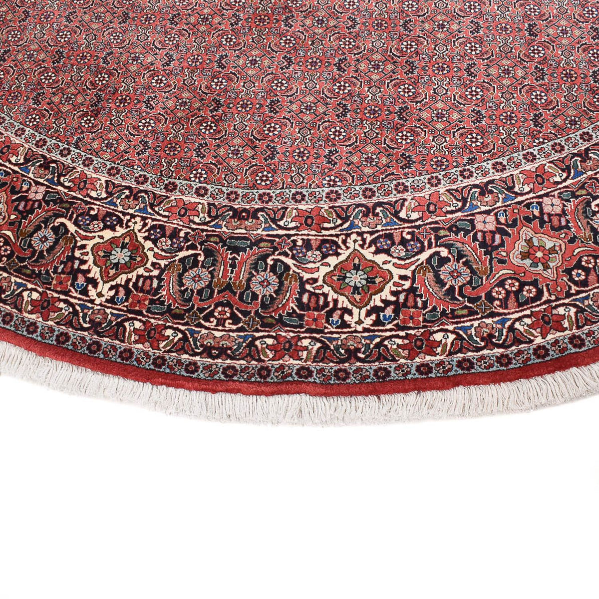 Tappeto Persero - Bidjar rotondo  - 300 x 300 cm - ruggine