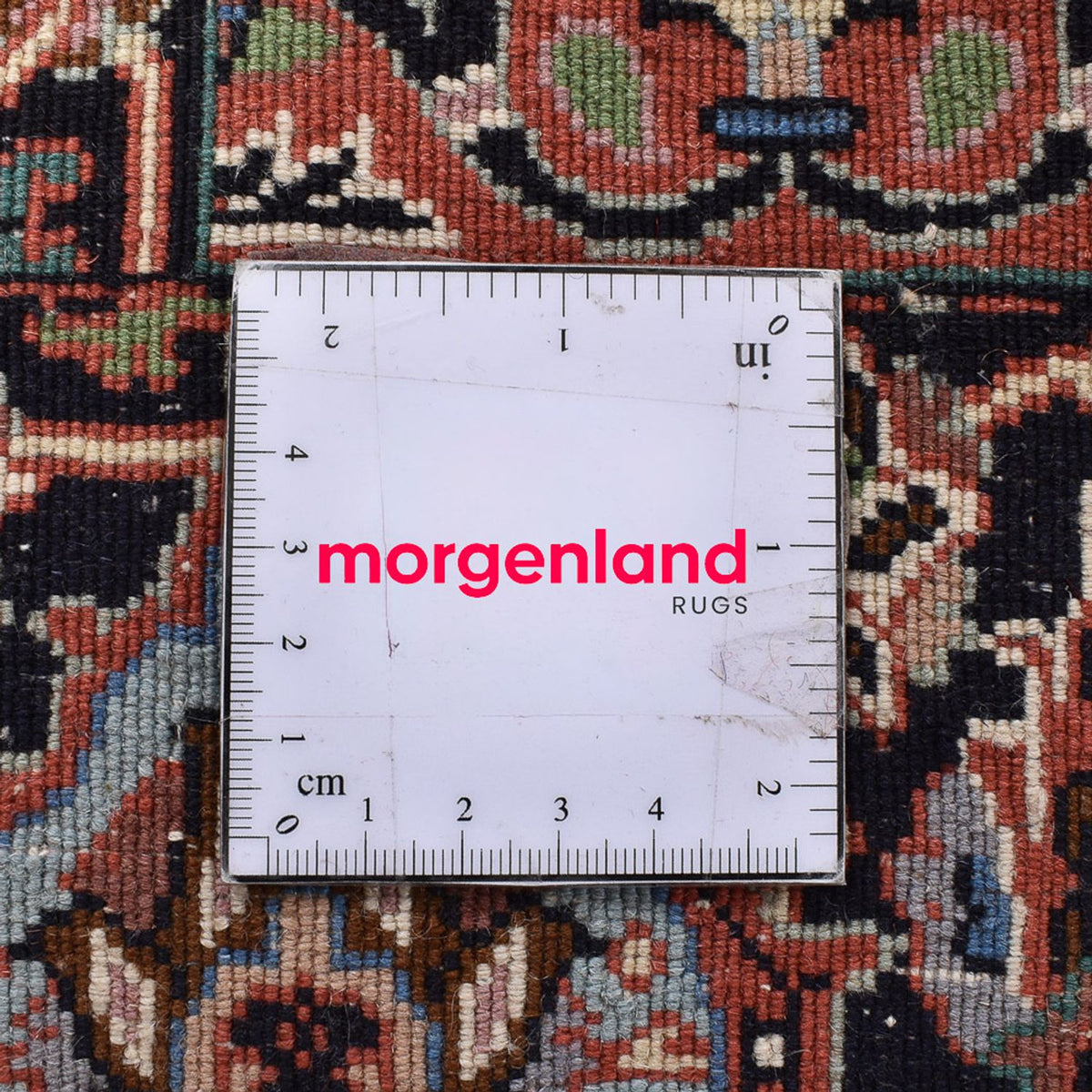 Tappeto Persero - Bidjar - 243 x 210 cm - marrone chiaro