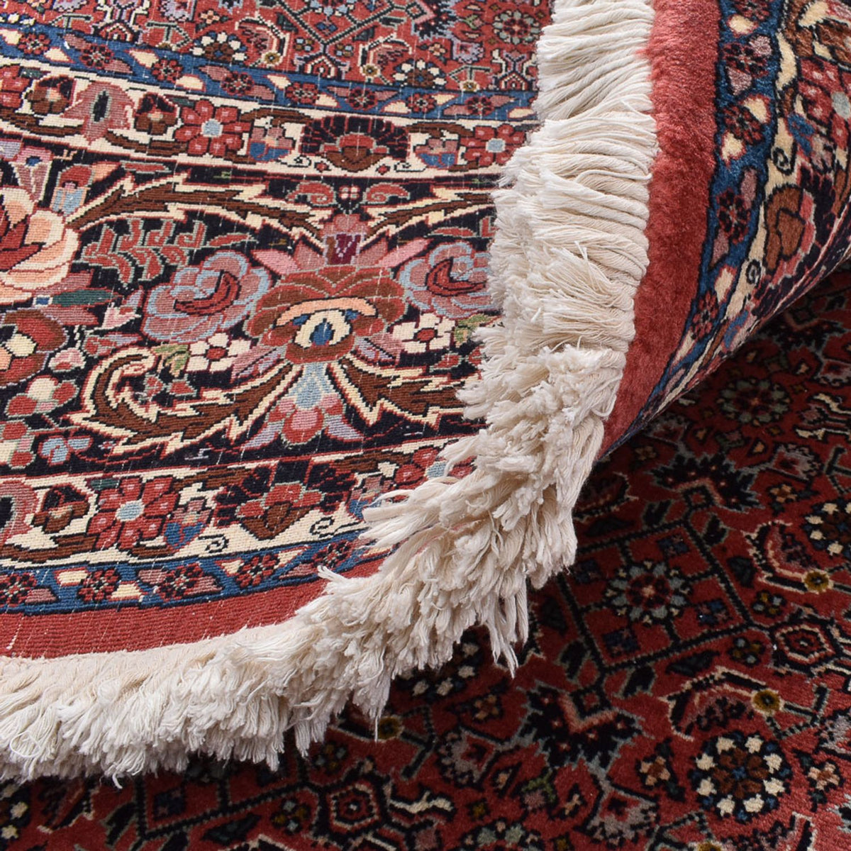 Tappeto Persero - Bidjar rotondo  - 300 x 300 cm - ruggine