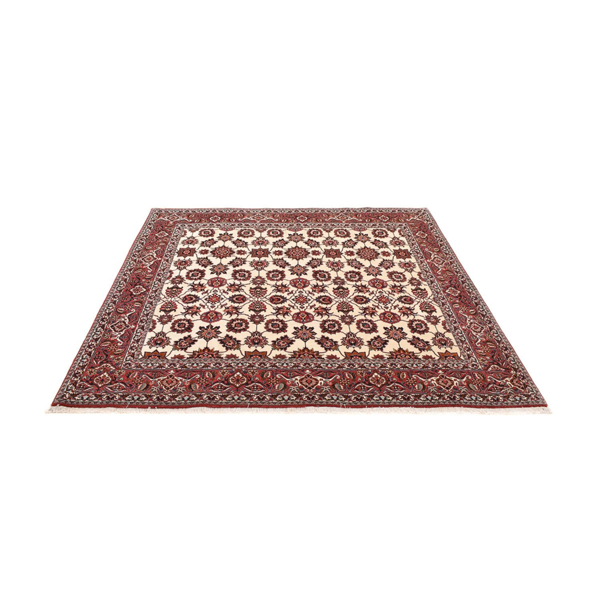 Tappeto Persero - Bidjar quadrato  - 255 x 241 cm - ruggine