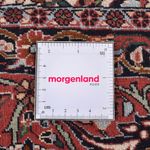 Tappeto Persero - Bidjar rotondo  - 300 x 300 cm - ruggine