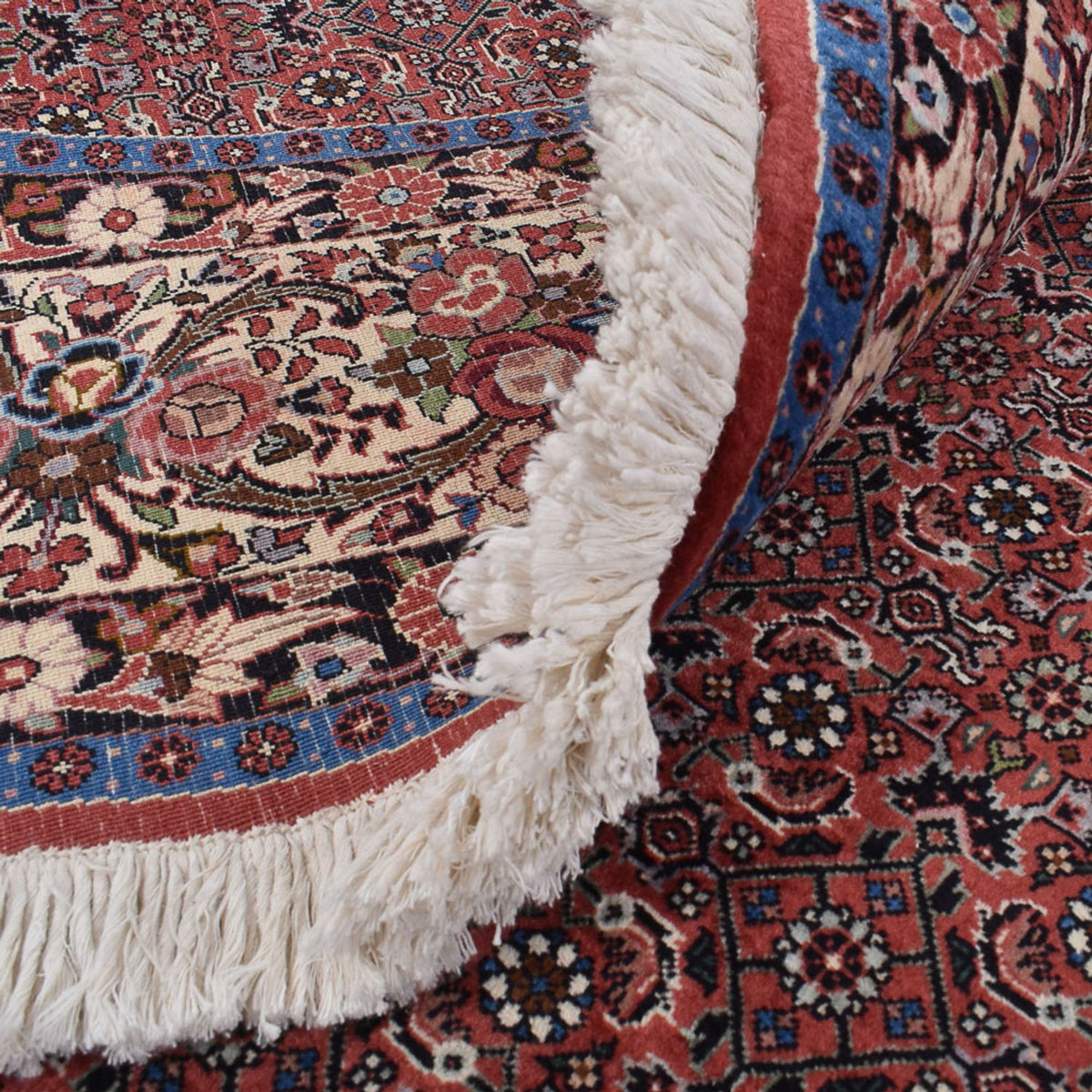 Tappeto Persero - Bidjar rotondo  - 300 x 300 cm - ruggine