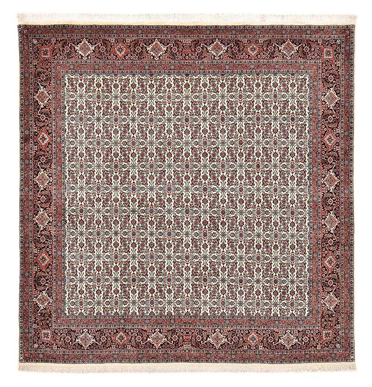 Tappeto Persero - Bidjar quadrato - 210 x 199 cm - multicolore