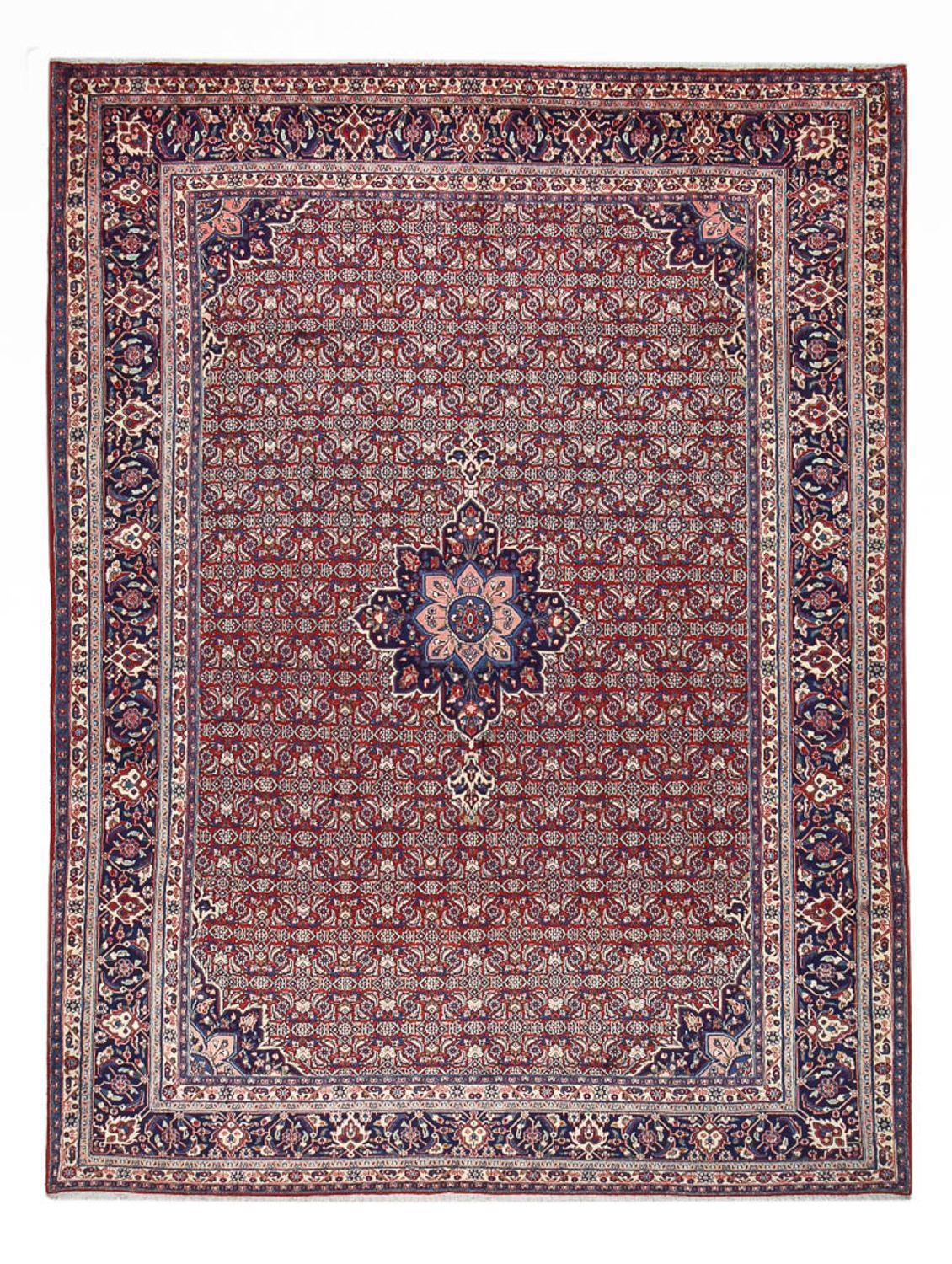 Tappeto Persero - Bidjar - 355 x 256 cm - ruggine