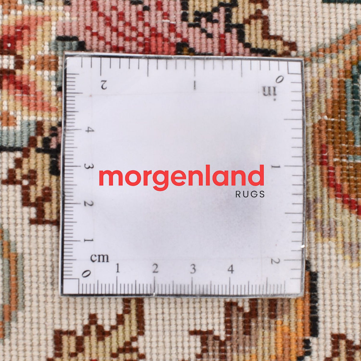 Tappeto corsia Tappeto Persero - Tabriz - Premio - 320 x 83 cm - caramello