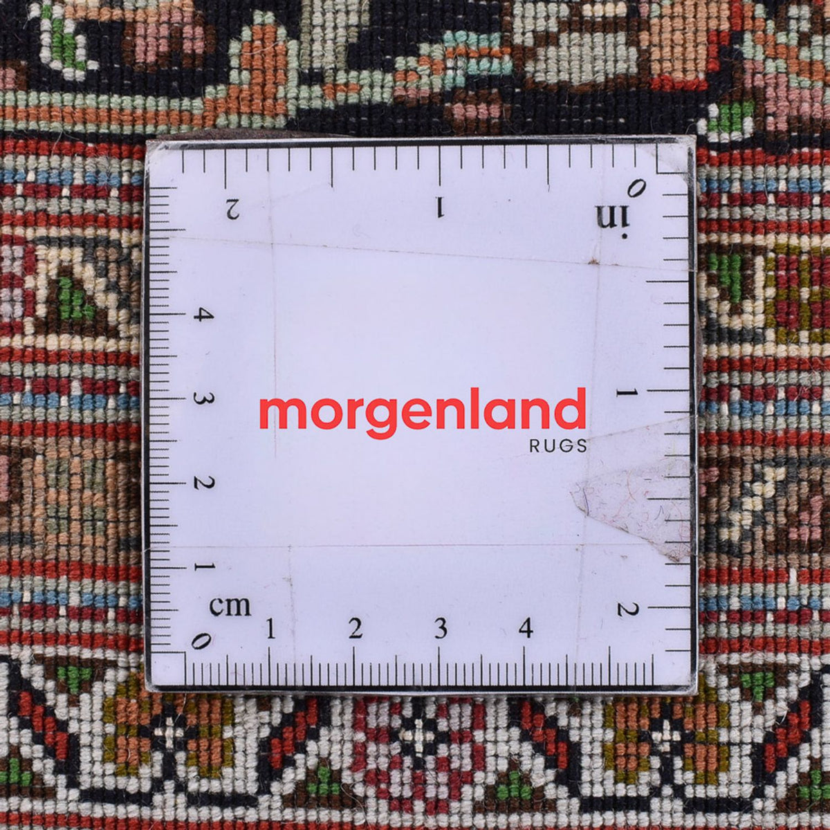 Tappeto Persero - Tabriz - Reale - 394 x 302 cm - beige scuro