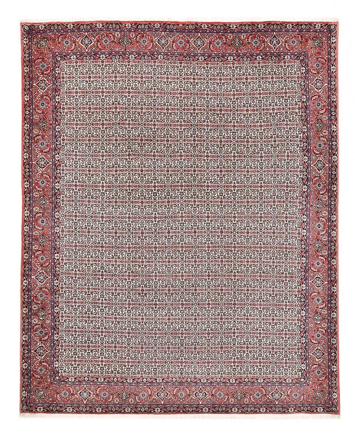 Tappeto Persero - Bidjar - 329 x 257 cm - ruggine