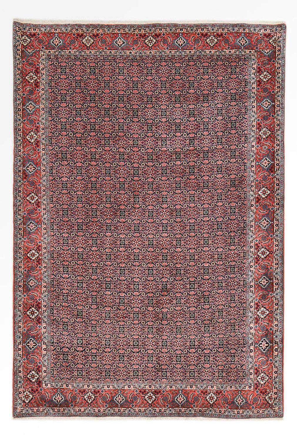 Tappeto Persero - Bidjar - 301 x 203 cm - ruggine