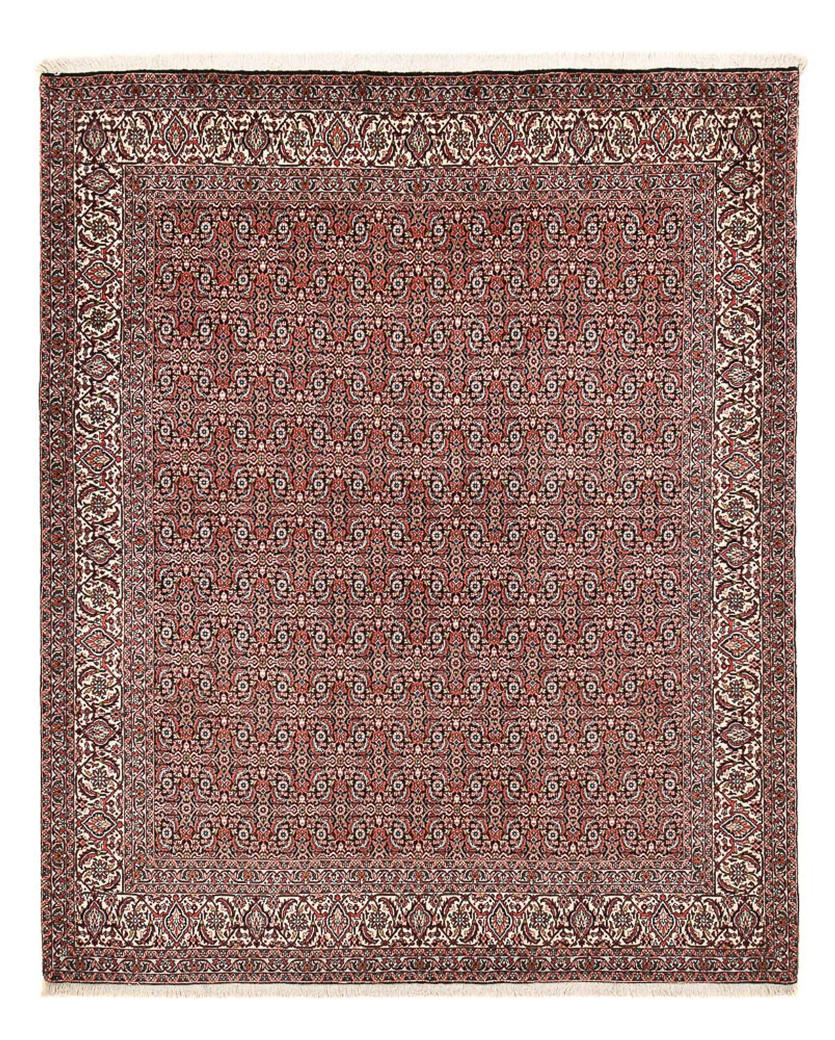 Tappeto Persero - Bidjar - 250 x 204 cm - ruggine