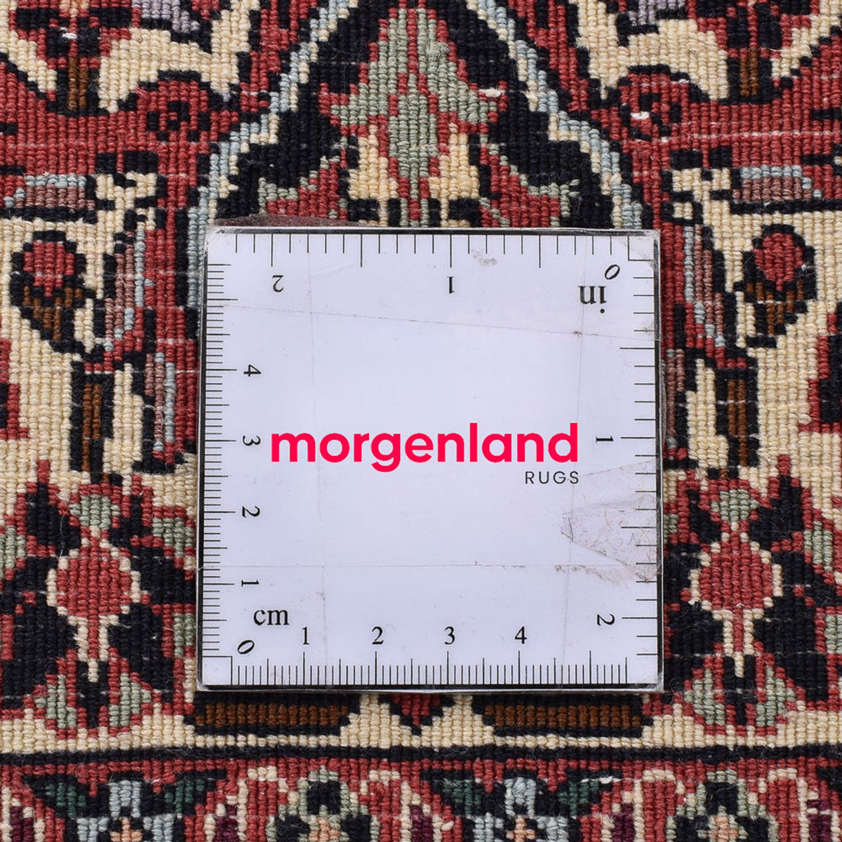 Tappeto Persero - Bidjar - 250 x 204 cm - ruggine