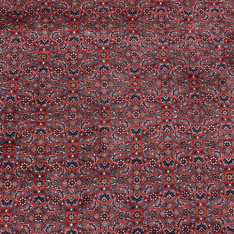 Tappeto Persero - Bidjar - 490 x 350 cm - rosso bordeaux