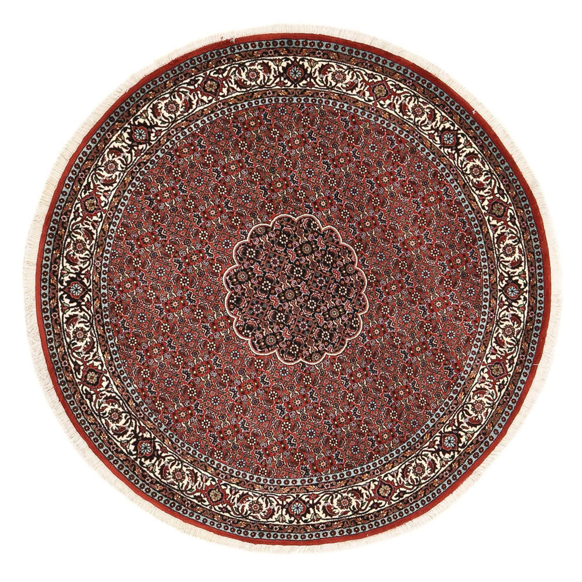 Tappeto Persero - Bidjar rotondo  - 150 x 150 cm - rosso scuro