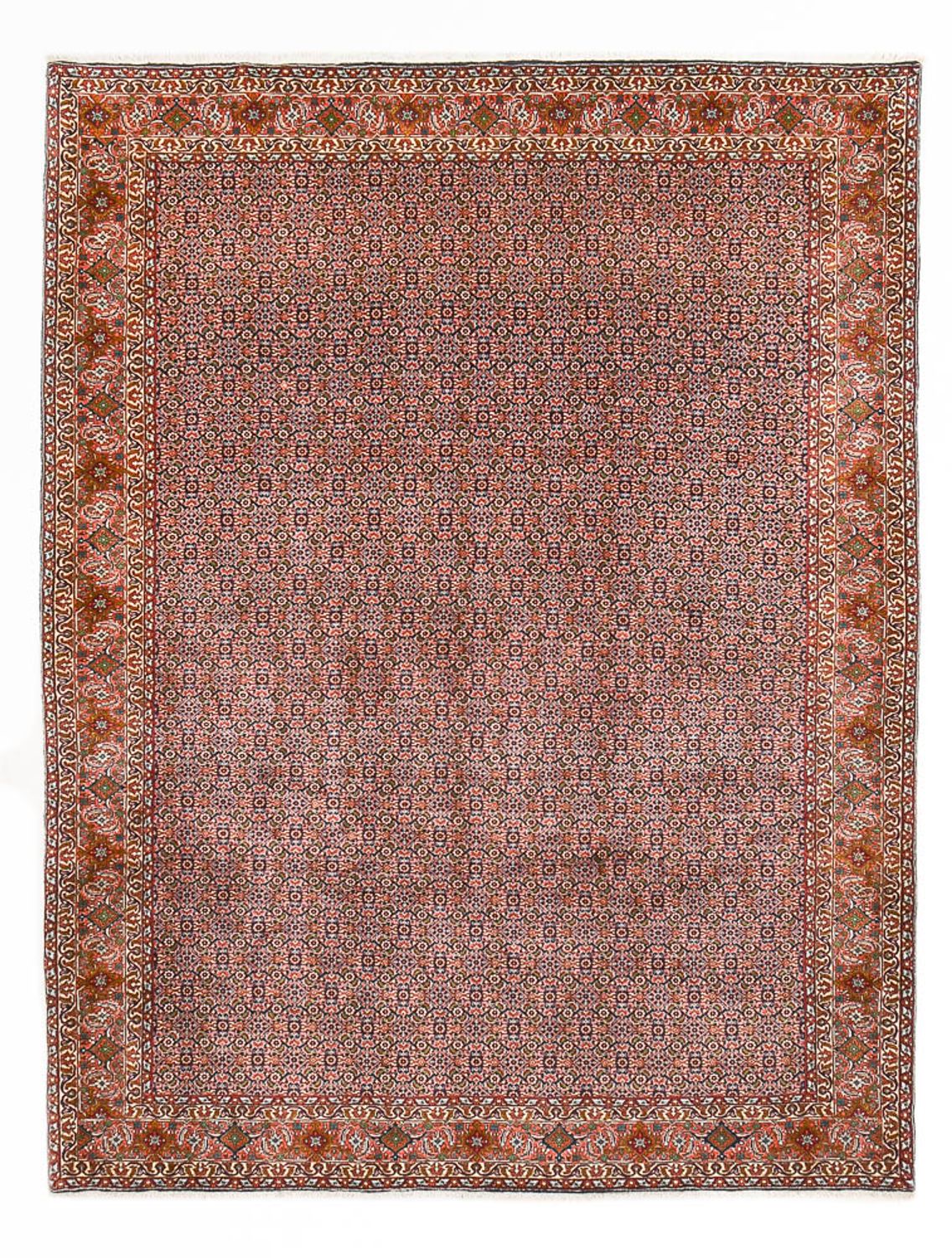 Tappeto Persero - Bidjar - 342 x 263 cm - ruggine