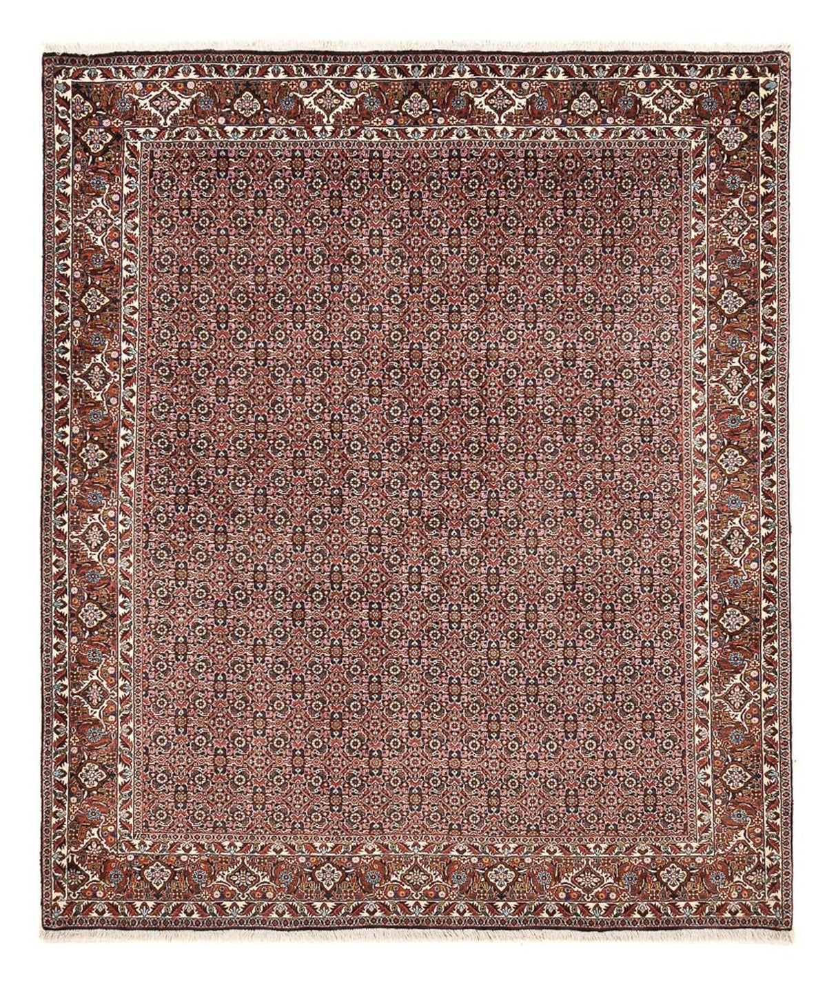 Tappeto Persero - Bidjar - 239 x 202 cm - ruggine