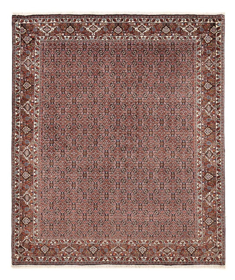Tappeto Persero - Bidjar - 239 x 202 cm - ruggine