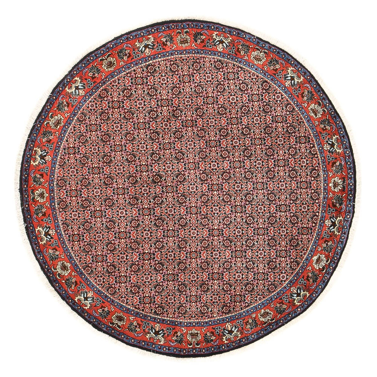 Tappeto Persero - Bidjar rotondo  - 153 x 153 cm - rosso chiaro