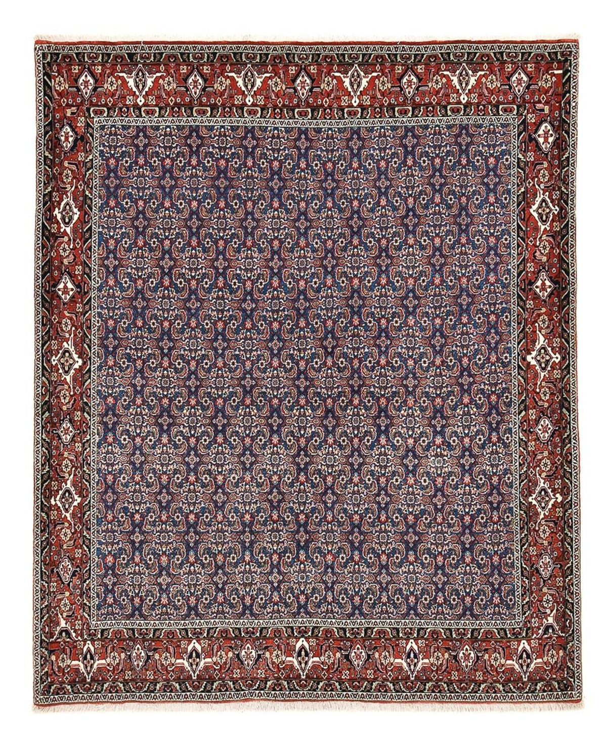 Tappeto Persero - Bidjar - 246 x 201 cm - viola