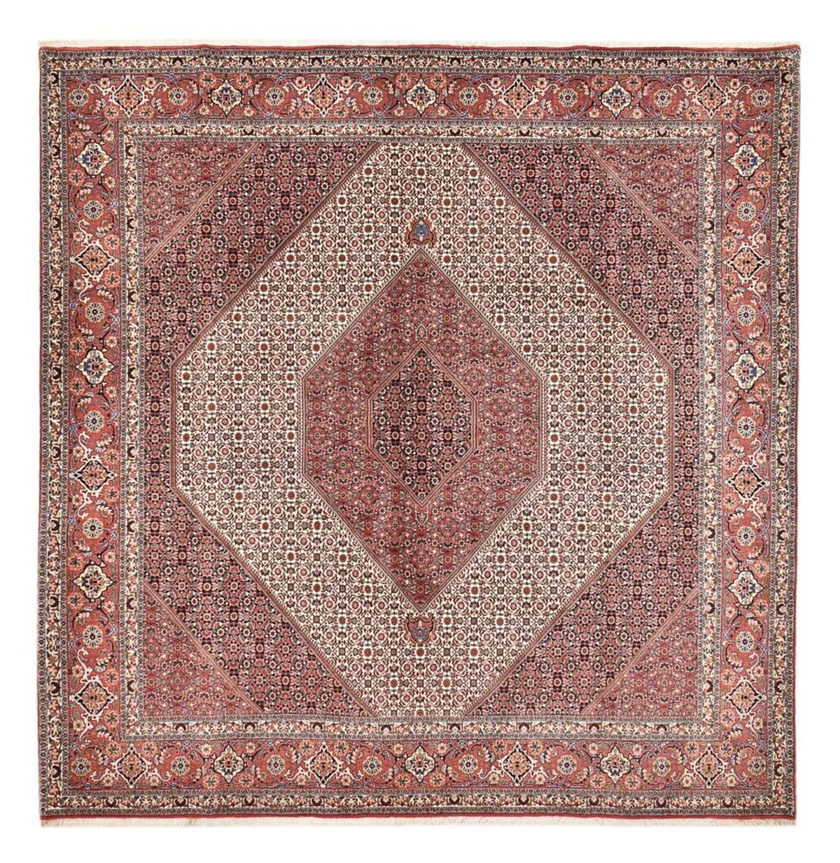 Tappeto Persero - Bidjar quadrato  - 307 x 300 cm - ruggine