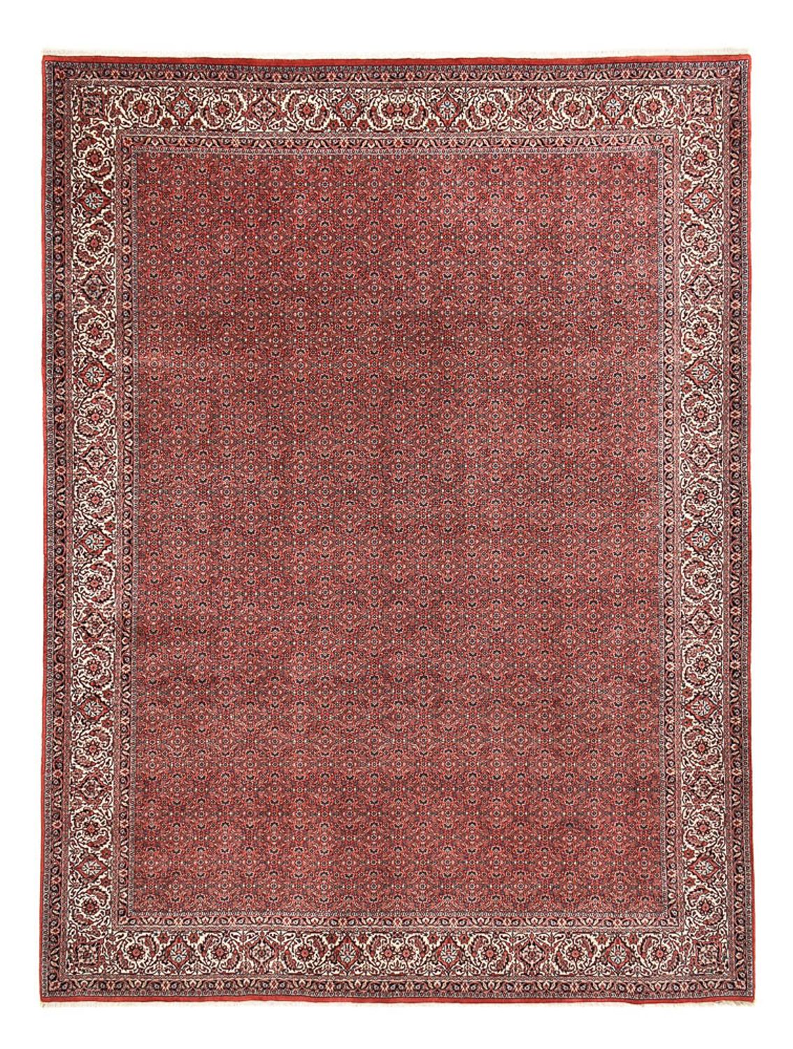 Tappeto Persero - Bidjar - 392 x 300 cm - rosso bordeaux