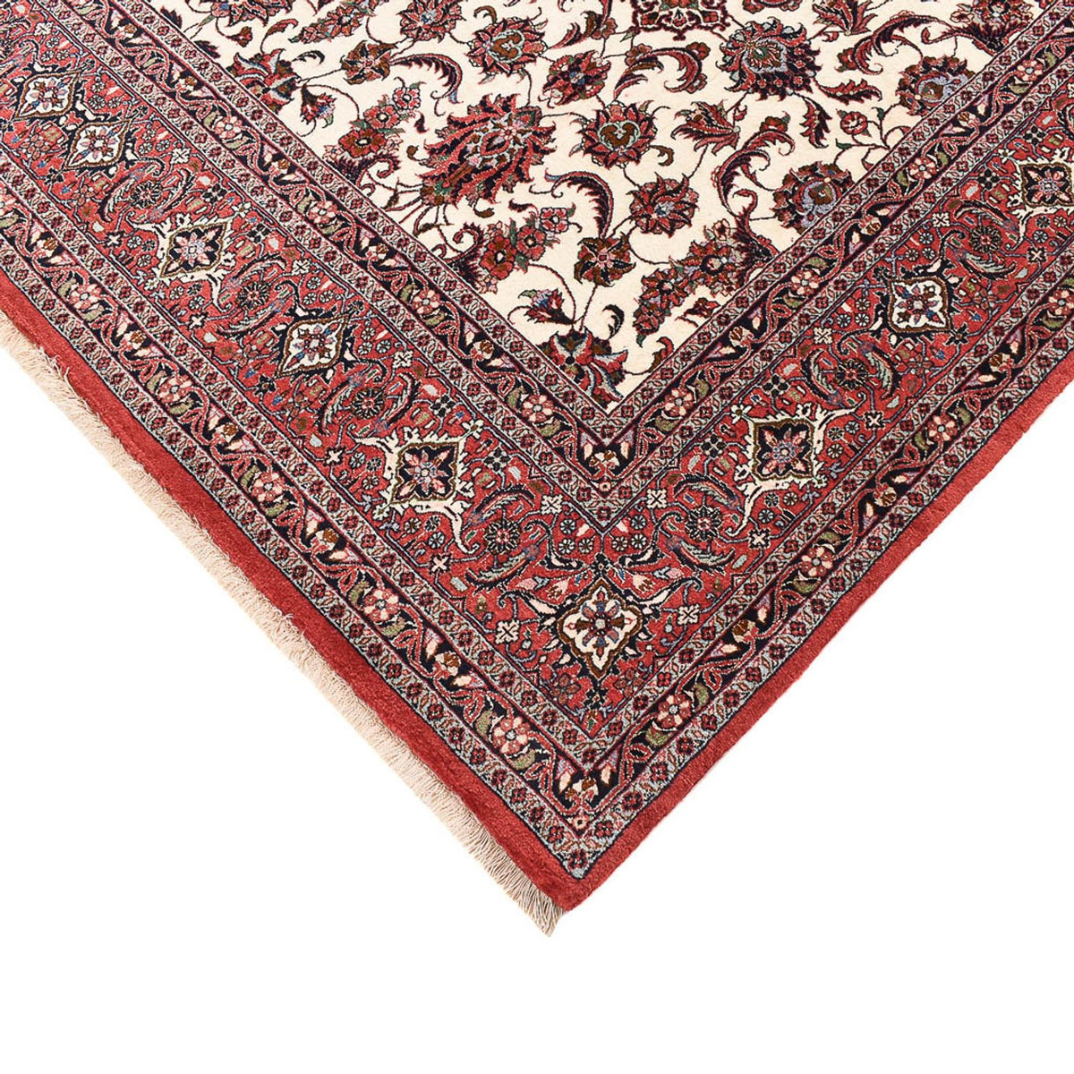 Tappeto Persero - Bidjar - 315 x 205 cm - crema