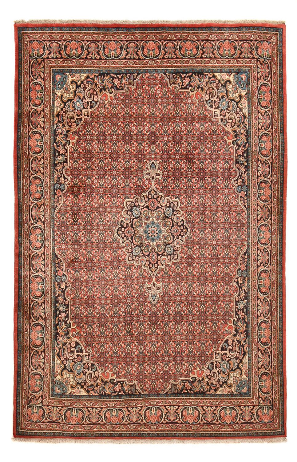 Tappeto Persero - Bidjar - 332 x 216 cm - ruggine