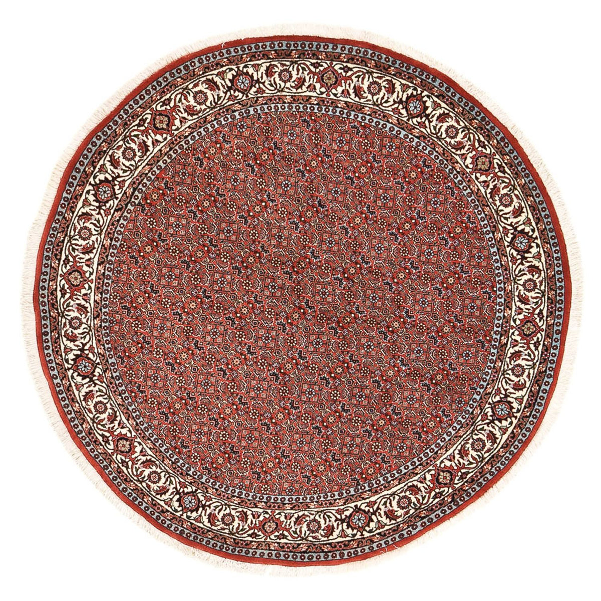 Tappeto Persero - Bidjar rotondo  - 155 x 155 cm - rosso chiaro