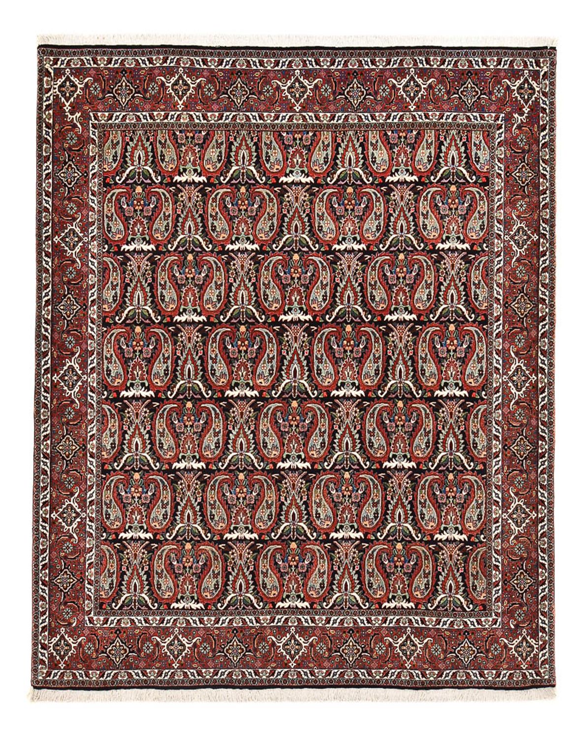 Tappeto Persero - Bidjar - 248 x 208 cm - ruggine