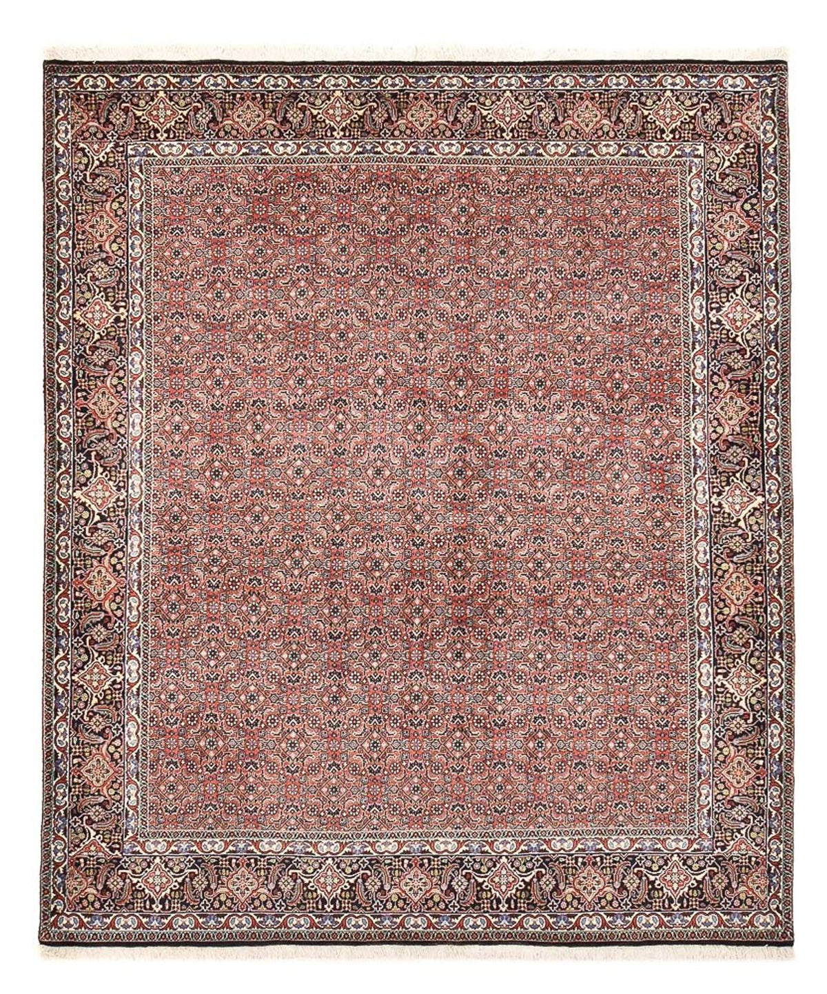 Tappeto Persero - Bidjar - 244 x 204 cm - ruggine