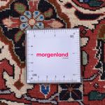 Tappeto Persero - Bidjar rotondo  - 300 x 300 cm - rosso scuro