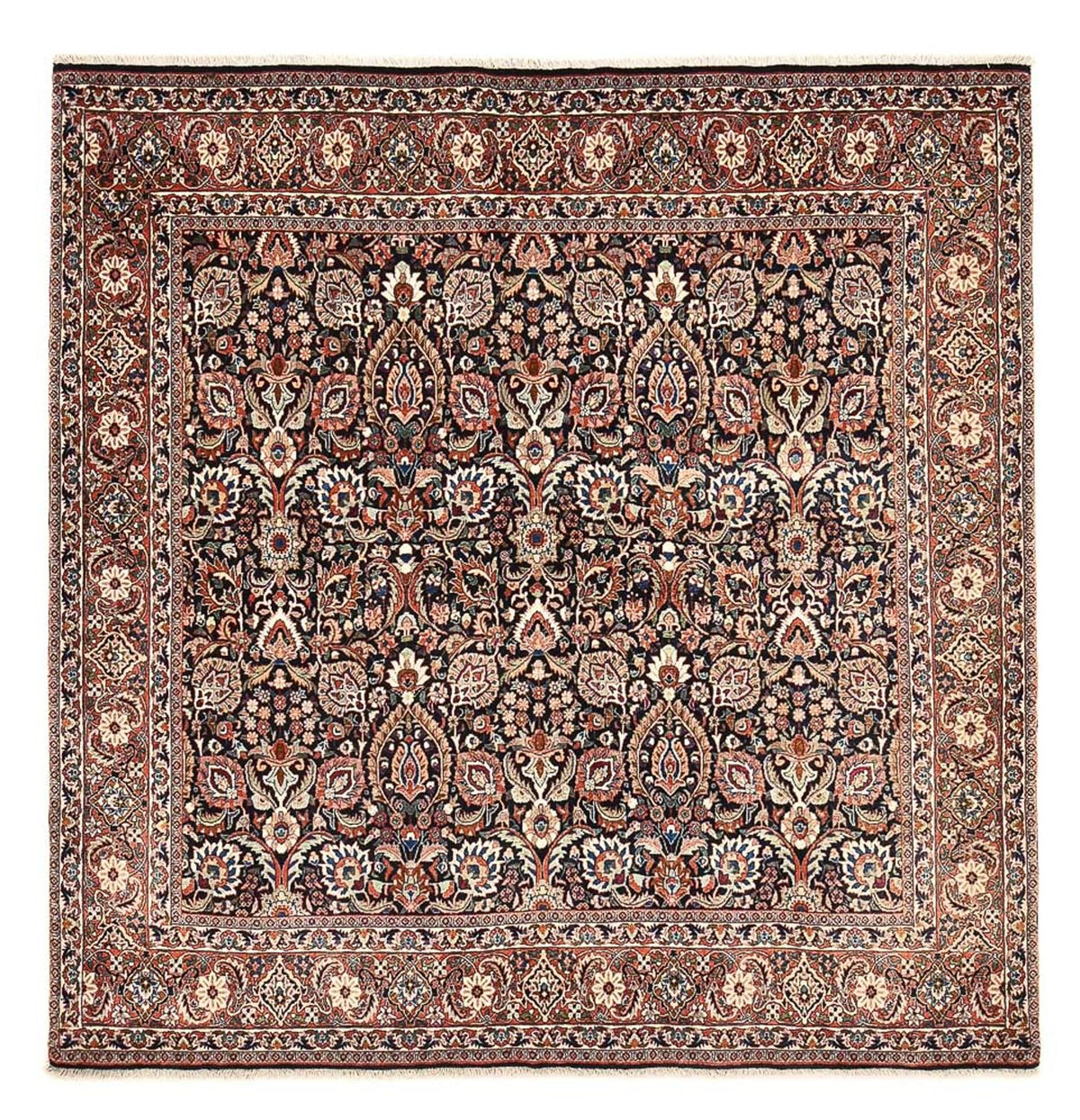 Tappeto Persero - Bidjar quadrato - 210 x 210 cm - ruggine