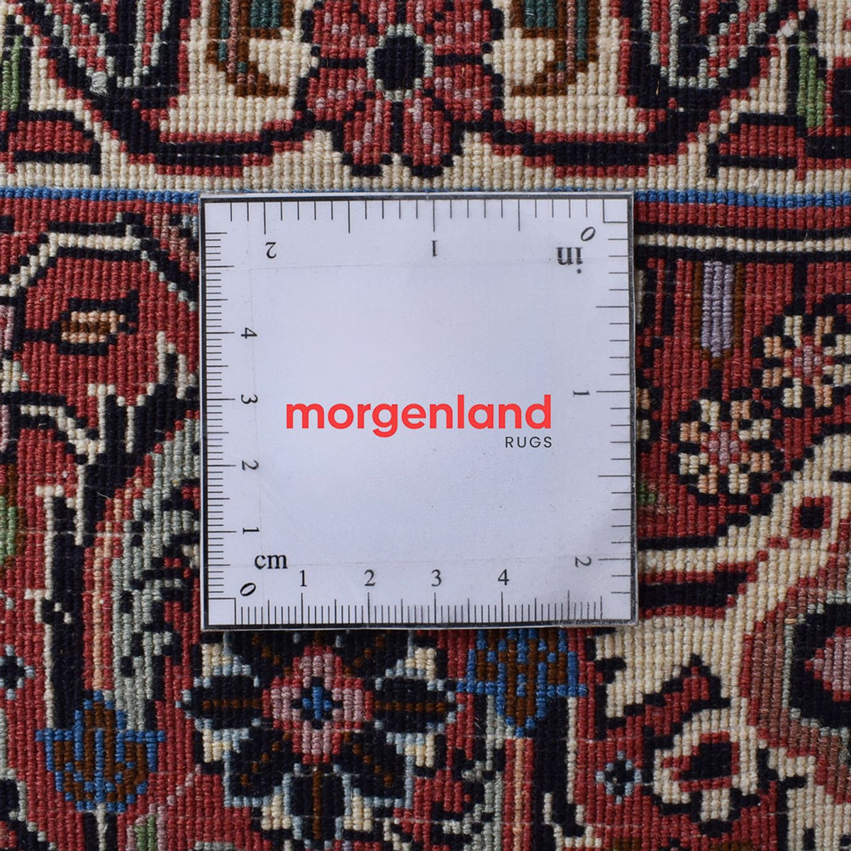 Tappeto Persero - Bidjar - 305 x 205 cm - ruggine