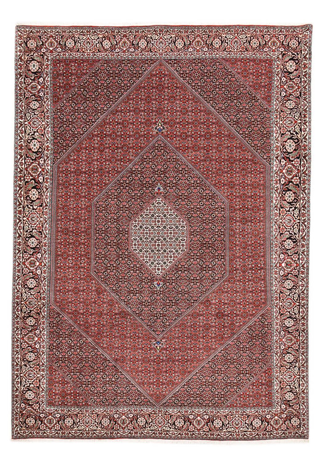 Tappeto Persero - Bidjar - 354 x 253 cm - ruggine
