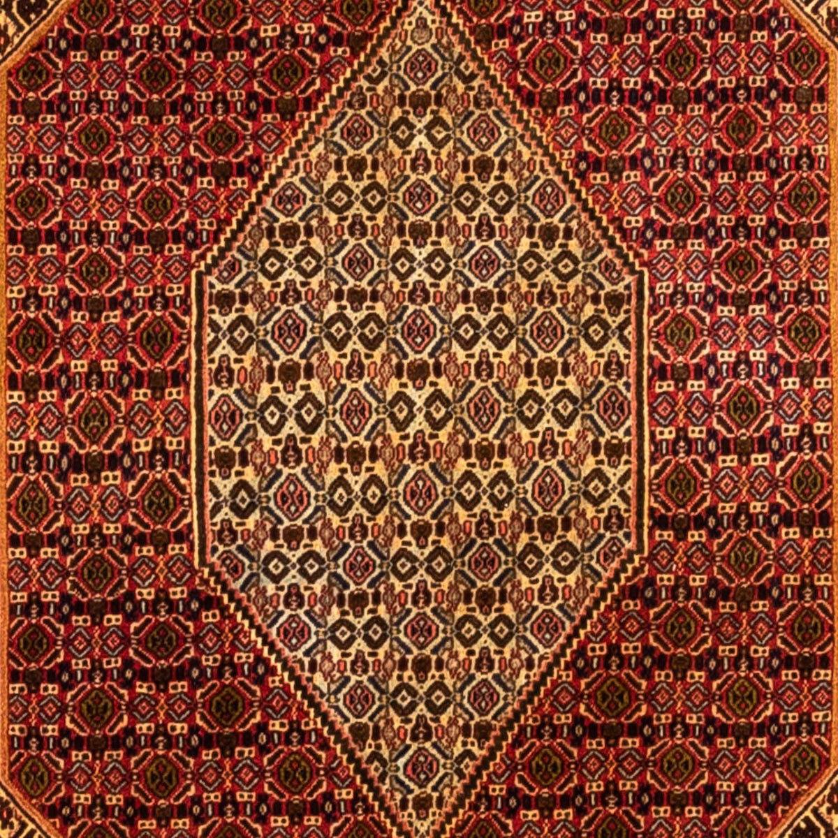 Tappeto Persero - Classico - 293 x 195 cm - beige
