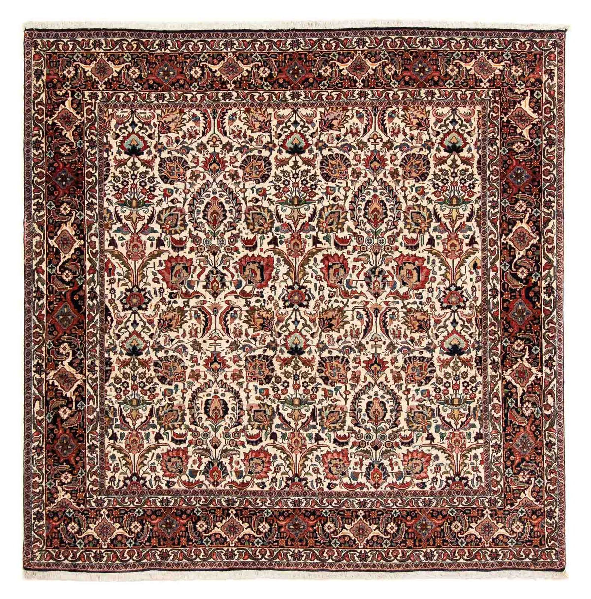 Tappeto Persero - Bidjar quadrato  - 202 x 197 cm - multicolore