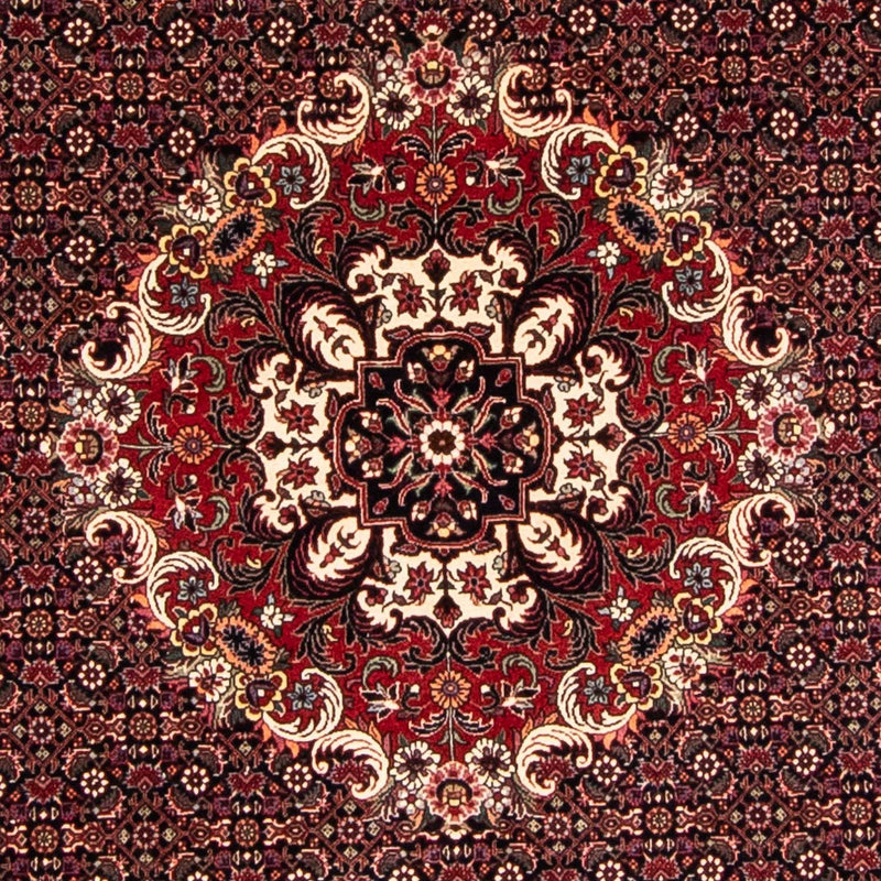Tappeto Persero - Bidjar rotondo  - 250 x 250 cm - rosso scuro