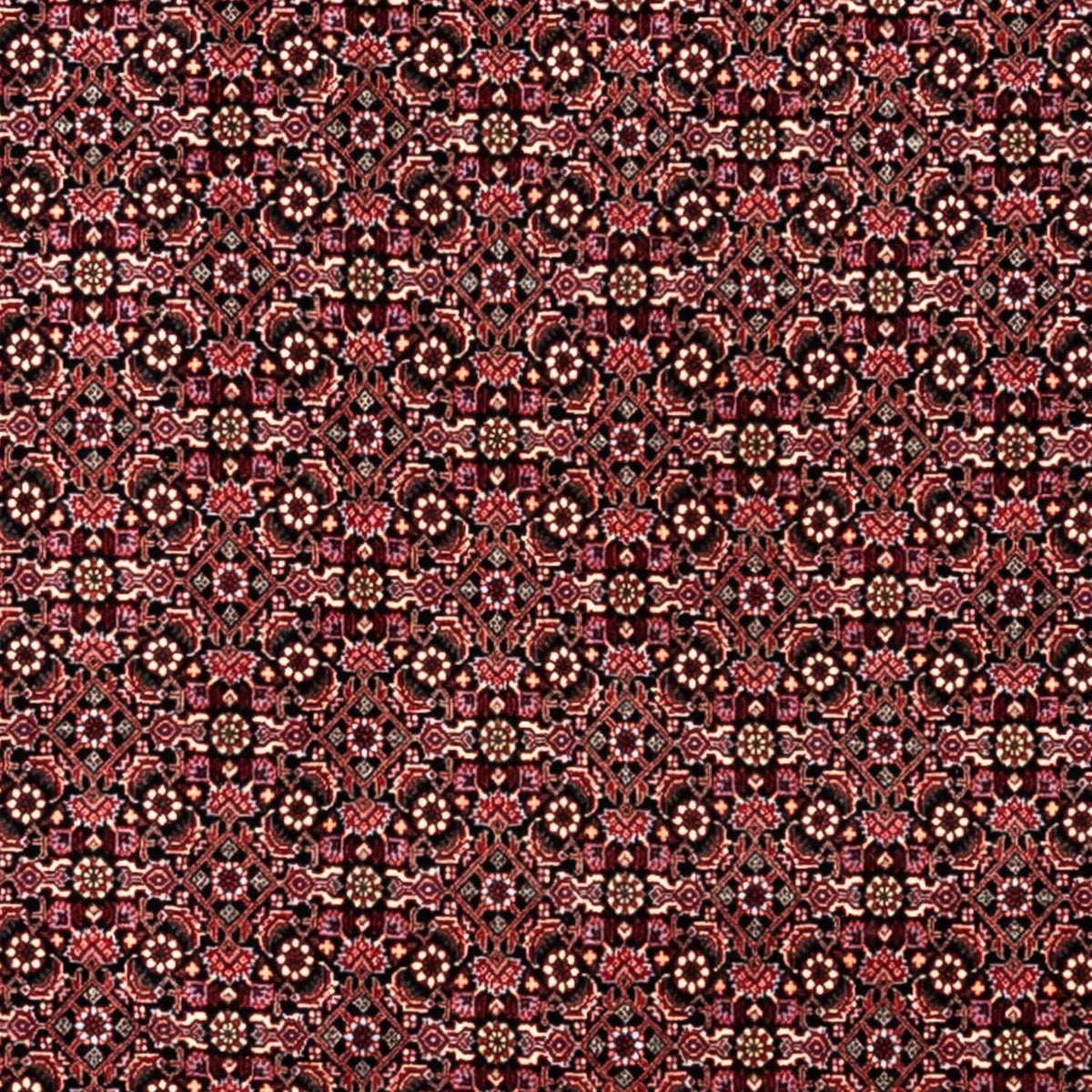 Tappeto Persero - Bidjar - 346 x 250 cm - rosso scuro