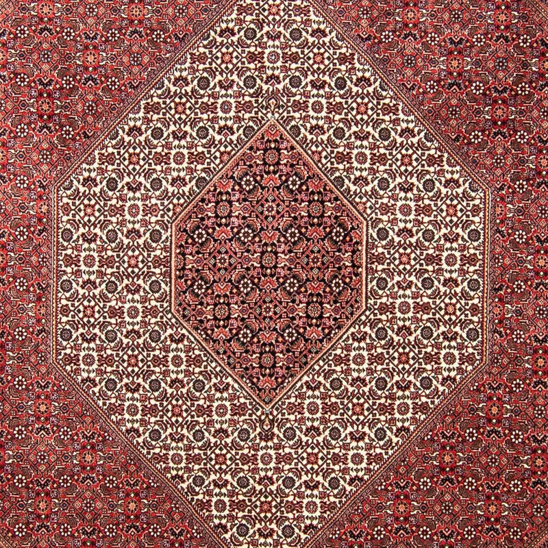 Tappeto Persero - Bidjar - 309 x 256 cm - rosso scuro