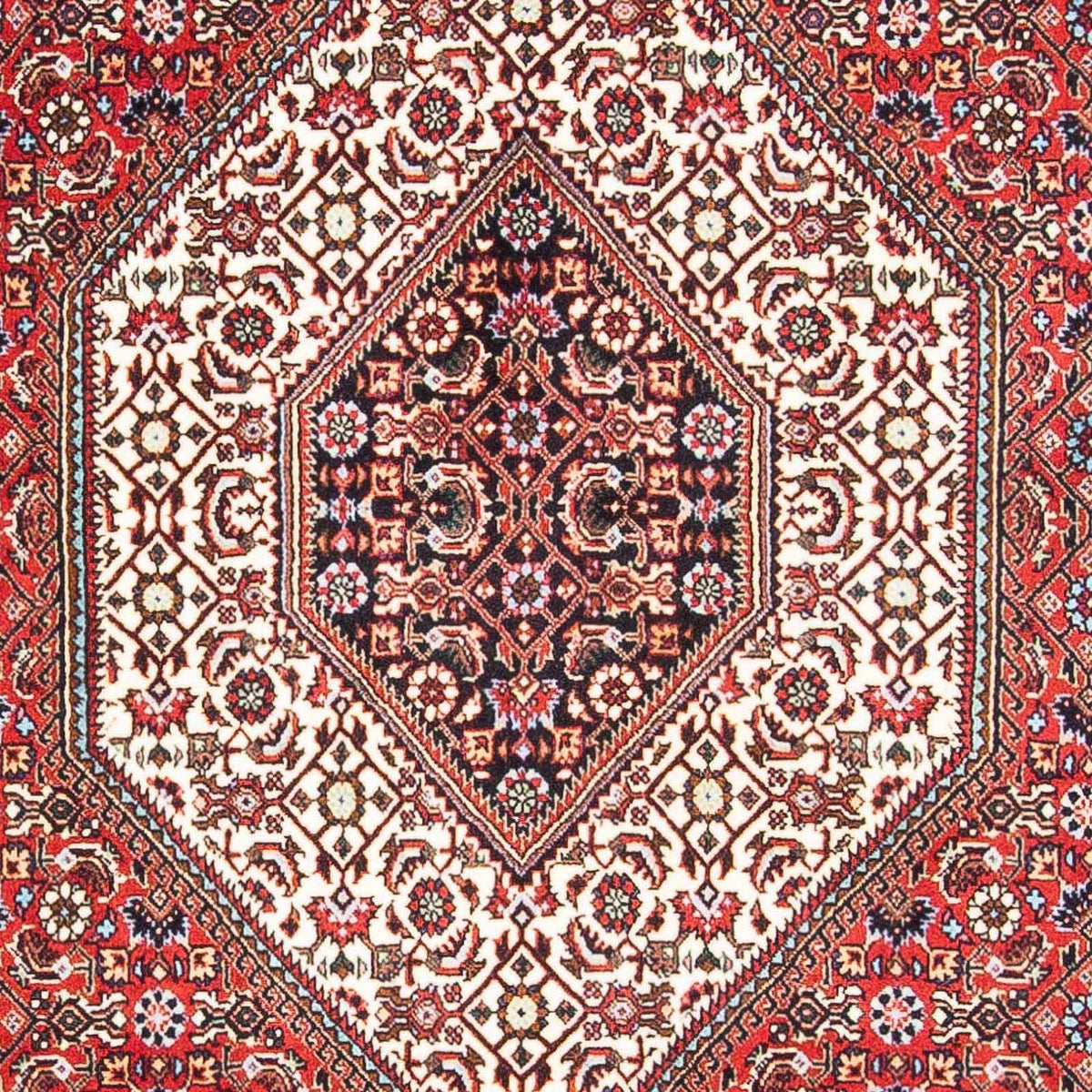 Tappeto Persero - Bidjar - 172 x 112 cm - rosso