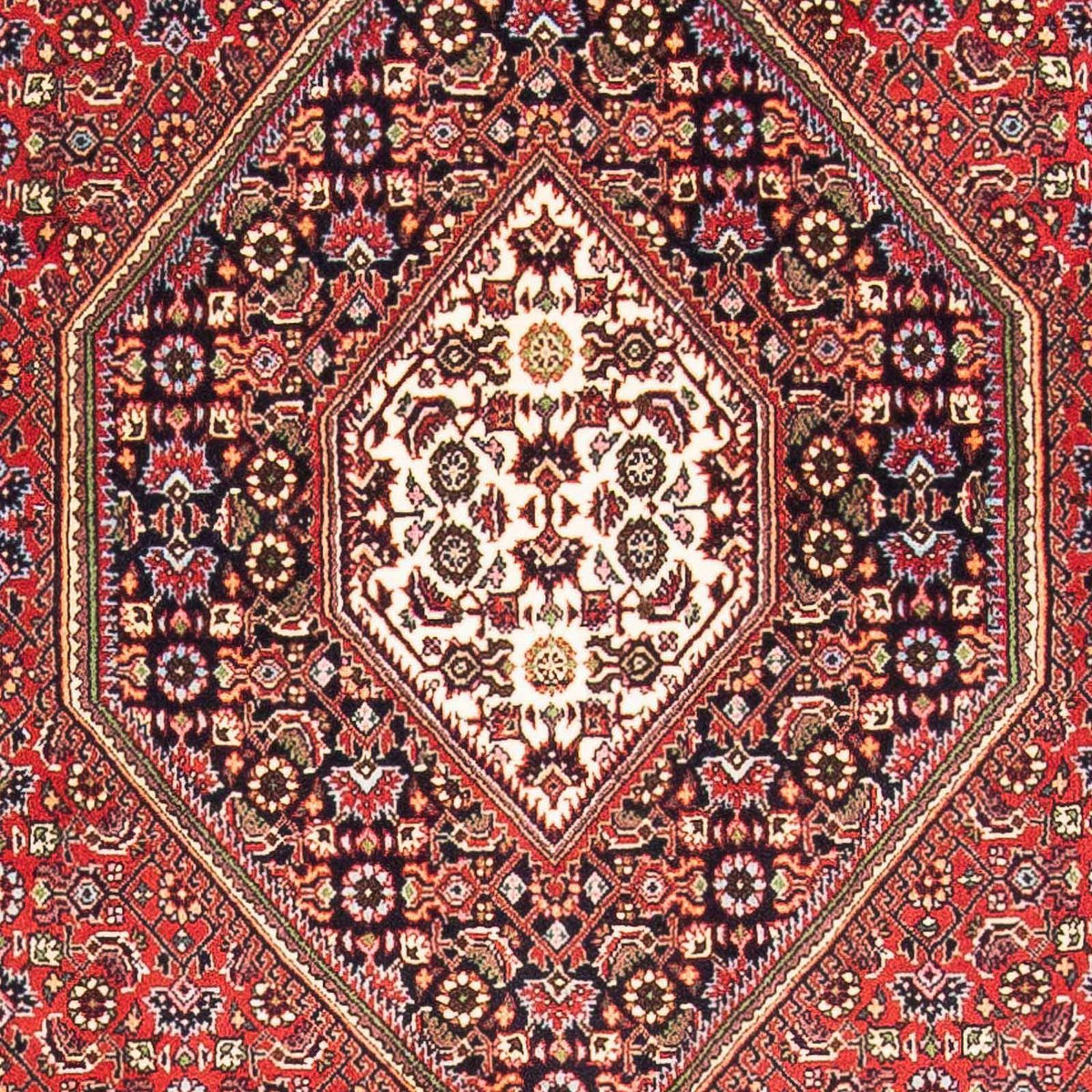 Tappeto Persero - Bidjar - 175 x 110 cm - rosso