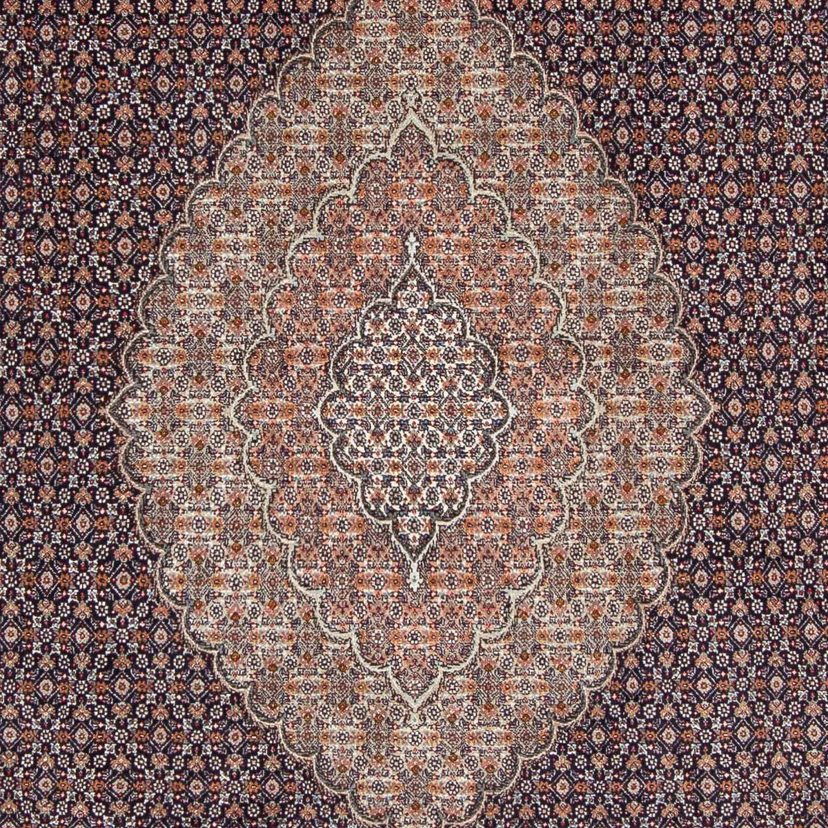 Tappeto Persero - Tabriz - 296 x 207 cm - blu scuro