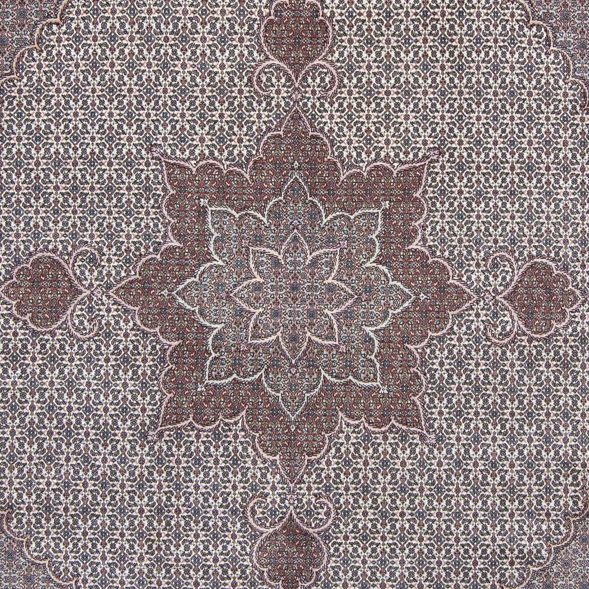 Tappeto Persero - Tabriz quadrato  - 258 x 252 cm - grigio